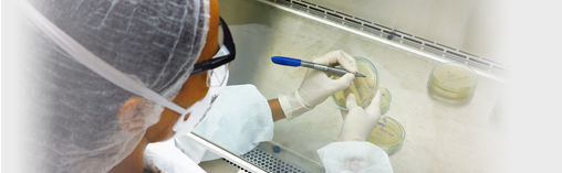 Técnica analisando algumas amostras em laboratório da NUPLAM